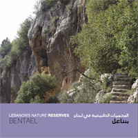 Bentael Lebanon