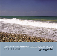 Tyre Coast