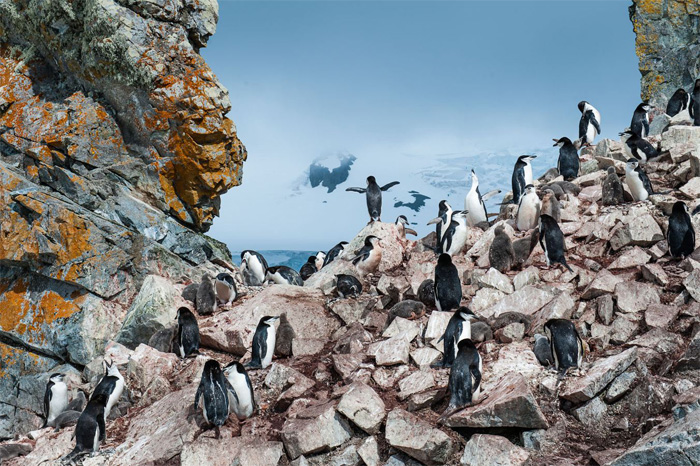 NatGeo Traveler contest - Stunning photographies