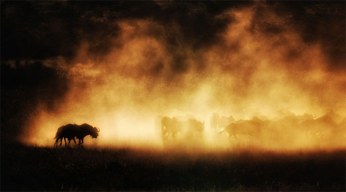 NatGeo Traveler contest - Stunning photographies