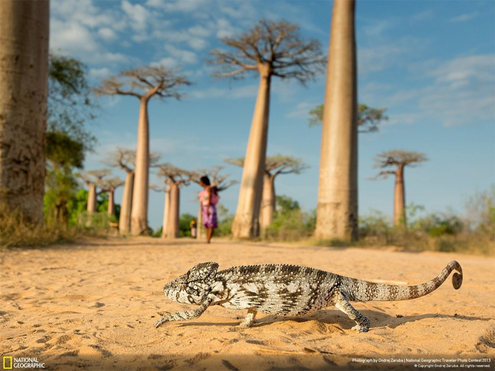 NatGeo, Traveler photo contest