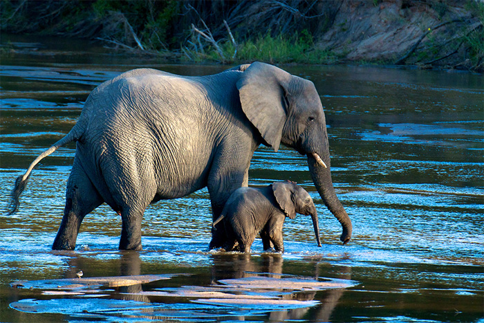 NatGeo, Traveler photo contest