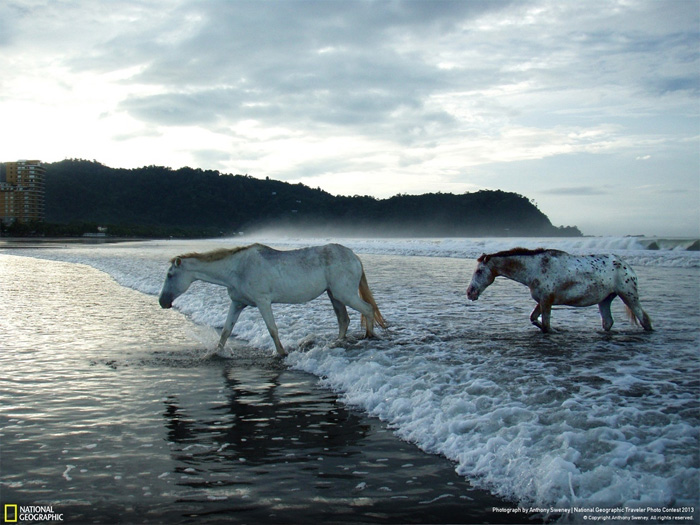 NatGeo, Traveler photo contest