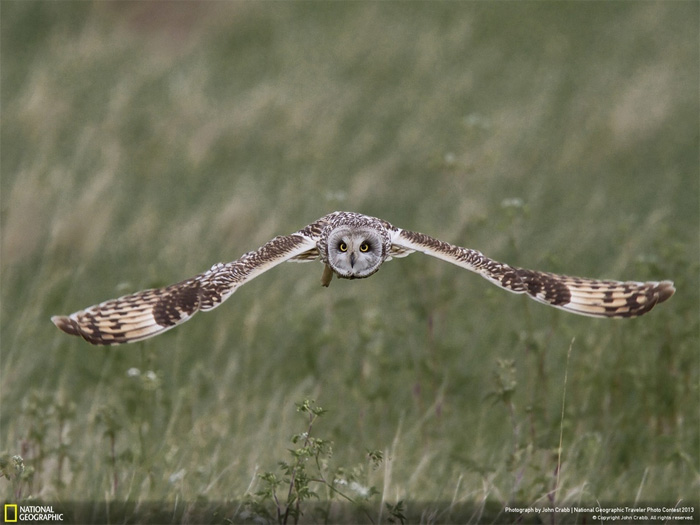 NatGeo, Traveler photo contest