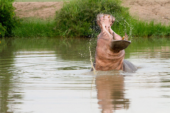 NatGeo, Traveler photo contest