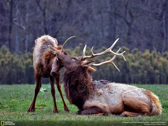 NatGeo, Traveler photo contest