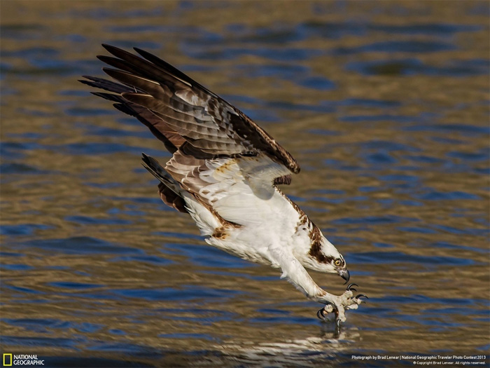 NatGeo, Traveler photo contest