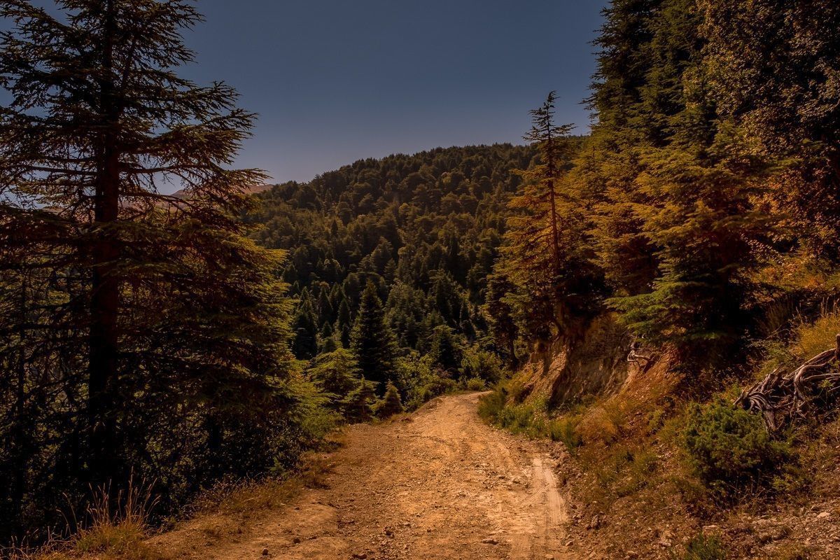 Horsh Ehden Nature Reserve (Hiking Trail) - Lebanon Tourism Guide