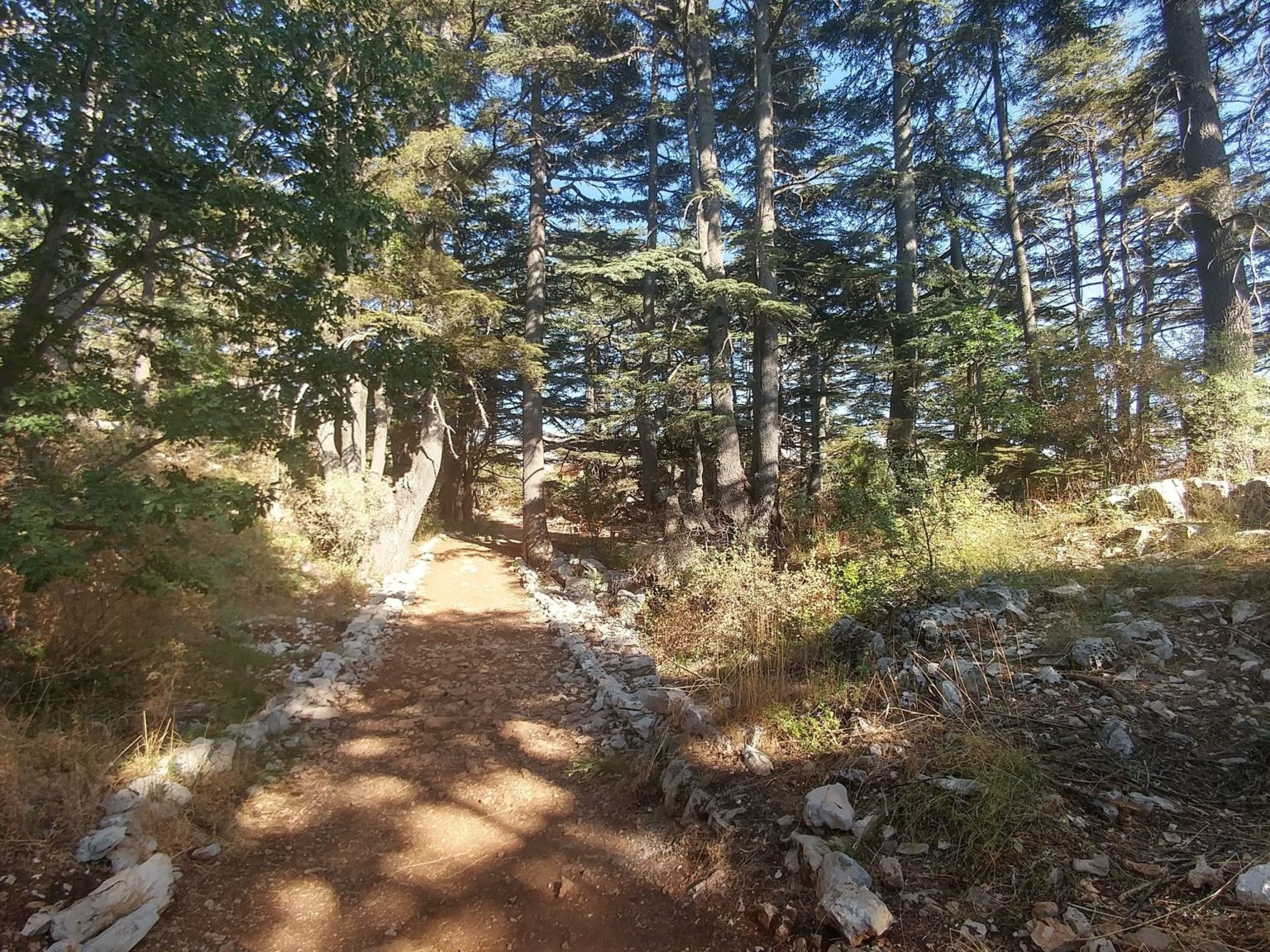 Tannourine Cedars Reserve (Hiking Trail) - Lebanon Tourism Guide